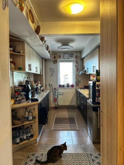 Apartament  3 camere | Curte | Parcare Subterana | Pallady | Metrou | - 11