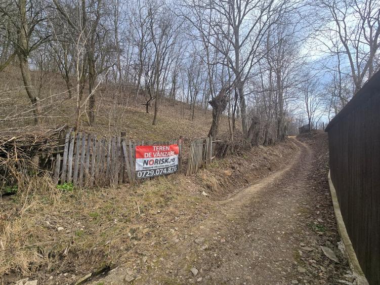 Oportunitate investitie teren  – Cerașu, Prahova | 3.485 mp | View spectaculos - 7