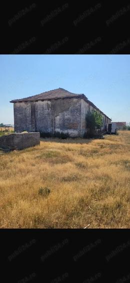 Vand hala 600 mp cu teren intravilan 9000 mp - 4