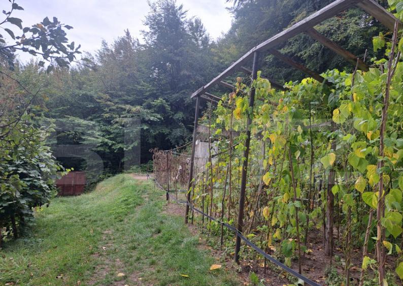 Casa de vanzare Colonia 1 Mai 75.000 EURO - 11