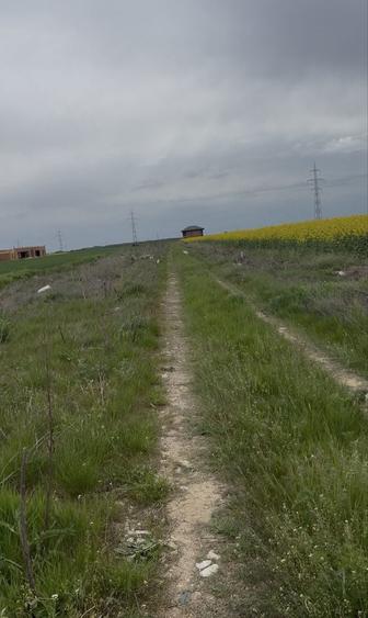 Vand teren 347 mp in zona Berceni Vidra (Mega Parc) - 2