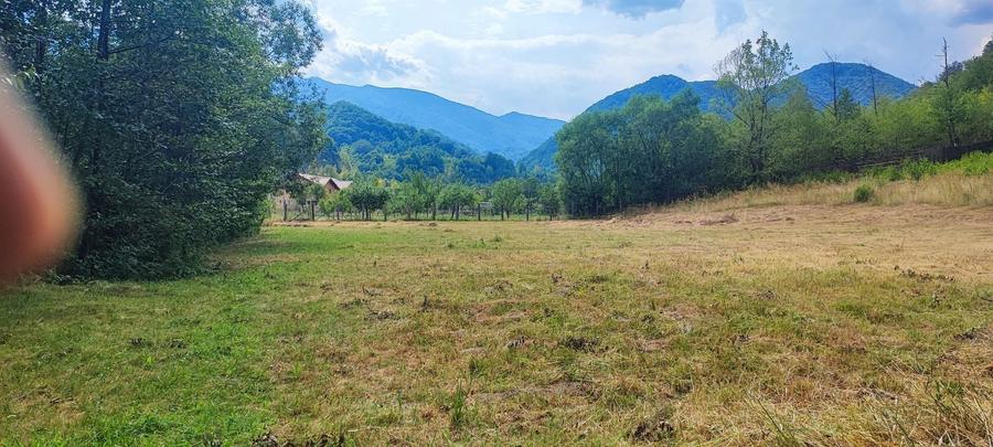 Teren 5600mp in localitatea Malaia - 2