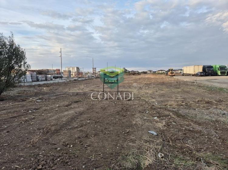 Oportunitate - Teren Chitila - 13.700 mp - pretabil pentru hale - 3