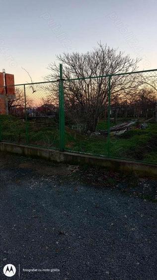 Teren de vanzare Palazu Mare - 4