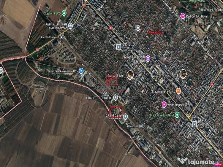 Teren Alexandria - Centura, TELEORMAN - 4