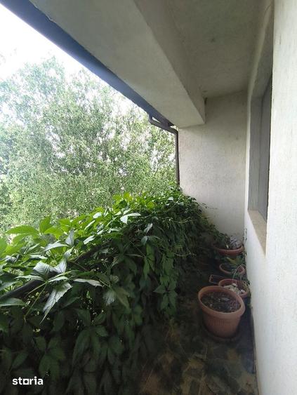 Cernica-Pantelimon-Casa de vanzare-Comision 0% - 231.000 EUR - 19