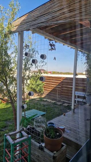 Casa de vanzare in Magurele, la 10km de centrul Bucure?tiului - 5