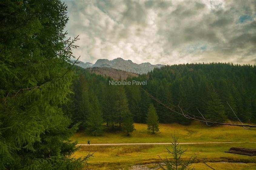 Teren intravilan panoramic 4.600mp,view iconic Piatra Craiului,oportunitate prem