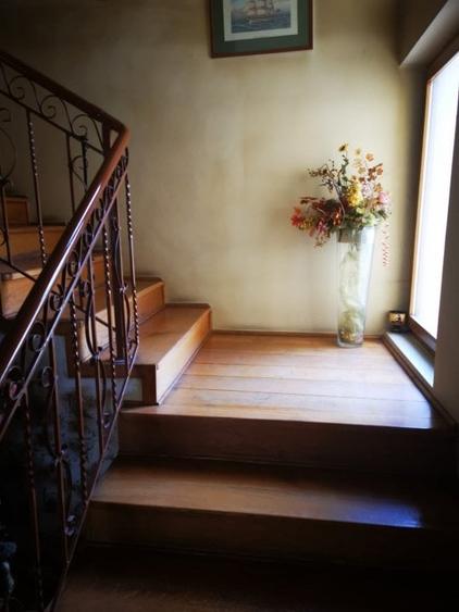 Casa D+P+E, Stefanesti -Coasta Campului, teren 1570 mp, mobilata - 9