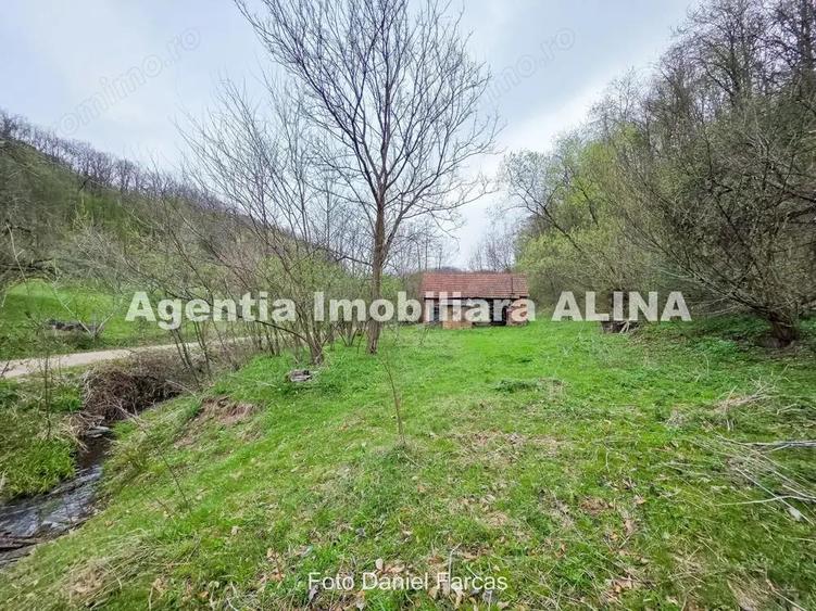 Teren intravilan 1.700 mp + 6.600 mp Padure de foioase + 1.200 mp Padure de foioase, Sat Nojag. - 5