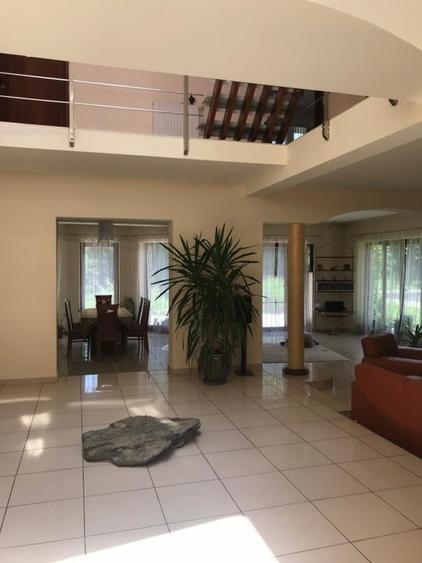 Proprietate inedita cu teren de 4400, si deschidere cu ponton pe Bega - 13