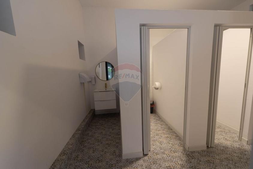 Vila cu curte de inchiriat- sector 1 - 19