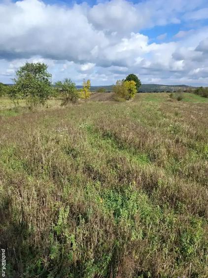 Vand casa si gradina in sat Breazova Jud Timi? - 6