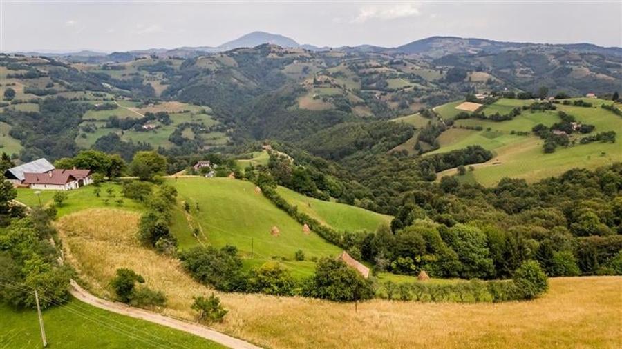 Proprietate + teren 10.400 mp incantoare pozitionare, Poiana Marului, Brasov - 1