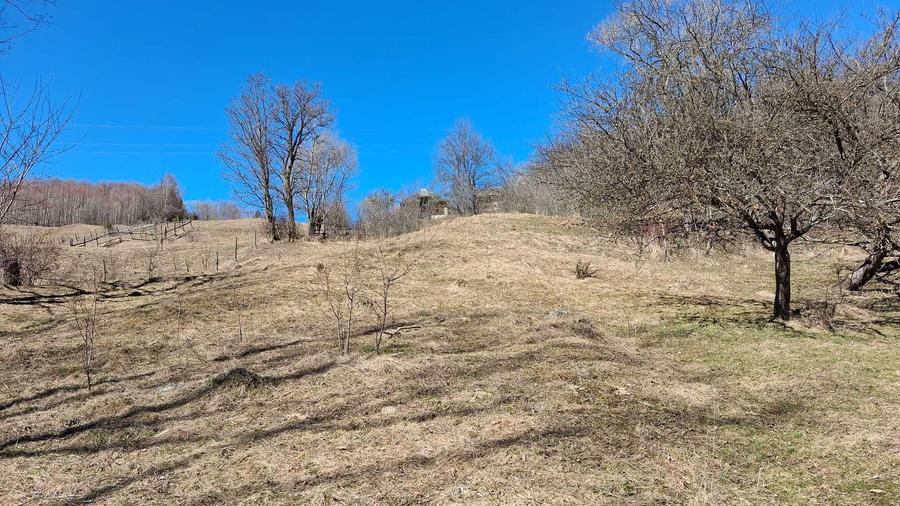 Vand teren dambavocioara 1990 mp - 7