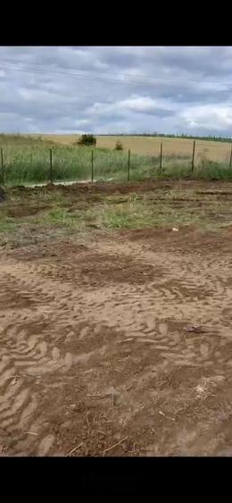 Teren Intravilan 550 mp Bod/Sanpetru - 2