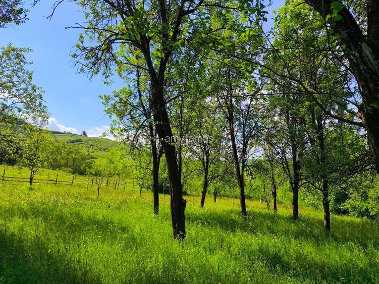 Teren de vânzare în Tiocul de Jos, comuna Cornești , Gherla – aproape de Cluj Teren de vânzare în Tiocul de Jos, comuna Cornești , Gherla – aproape de Cluj