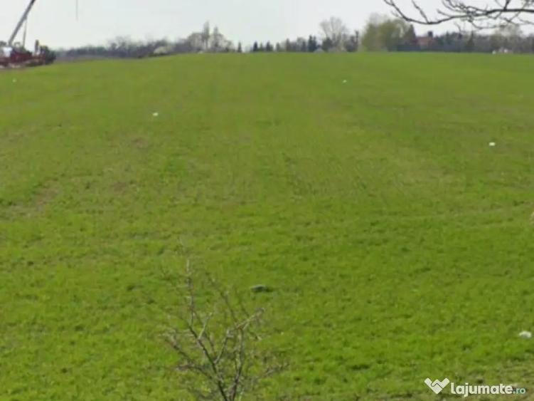 Teren industrial 7.589 mp, Gherce?ti - 1