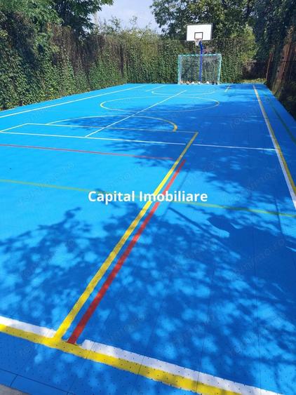 Vila superba 7 camere, Provita de Jos, 22.000 mp teren - 3