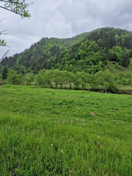 Teren intravilan - Rucar - Satic - 1775 mp - la strada principala - deschidere - 6