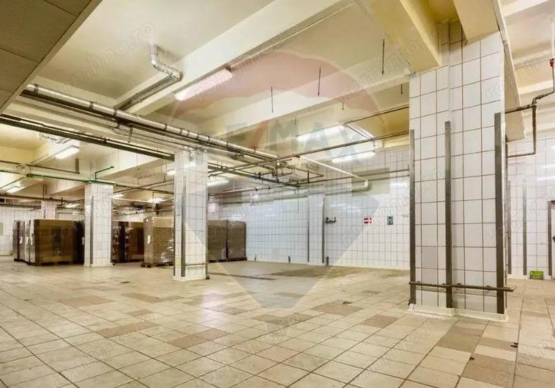 Fabrica de procesare a carnii ?i de conserve - 11