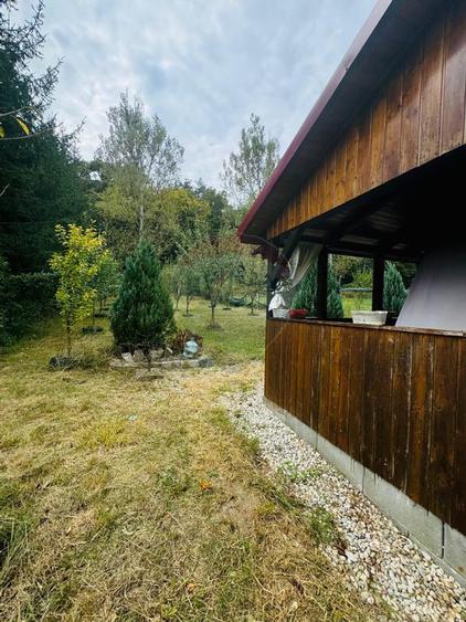 Teren Drumul Buzdului cu o cabana mica - 2