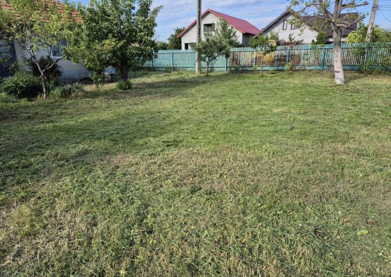 Casa batraneasca , foisor si teren de vanzare - 9