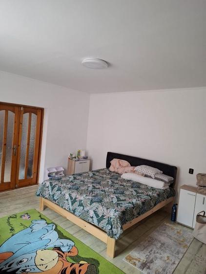 Vand casa pe strada Alexandru Ioan Cuza nr.266 - 3