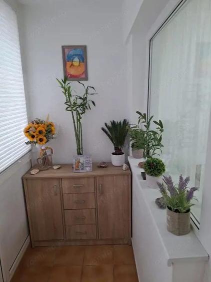 Apartament cu 3 camere, 53 mp, zona Malu Ro?u - 10