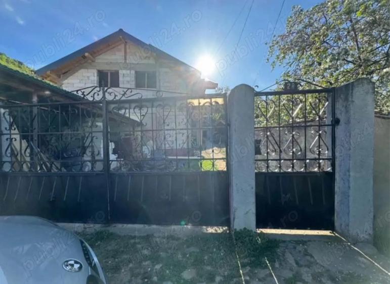 Gospodarie de vanzare (2 case) - 1
