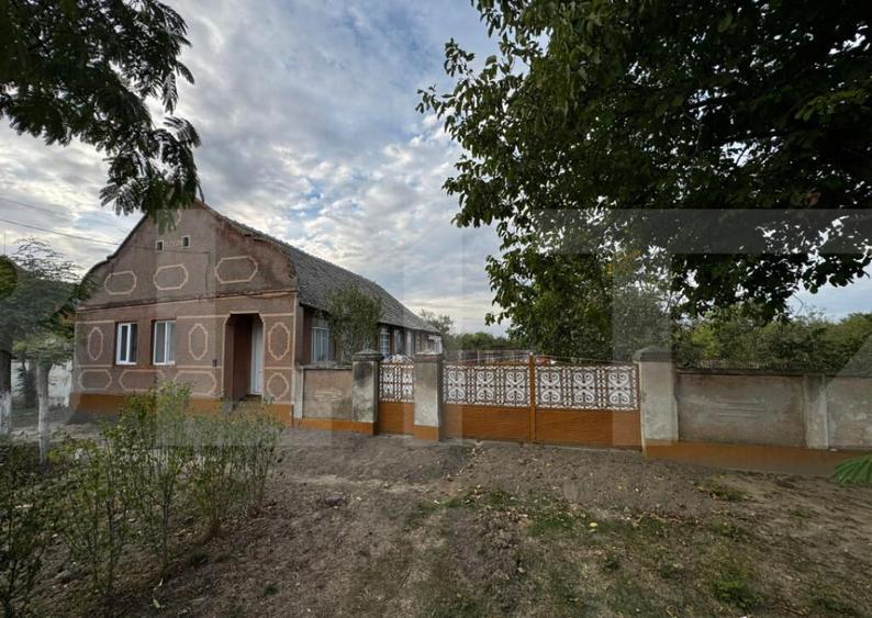 Casa 4 camere cu teren de 3892 mp - 4