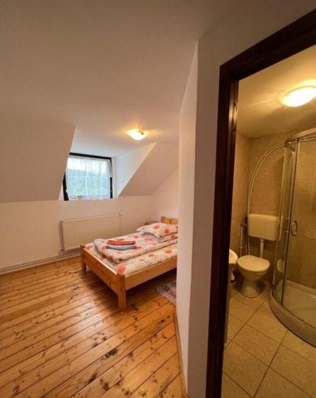 Cabana de 210mp, 2600 mp teren, in Rachitele - 23