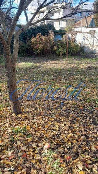 Casa 3 camere 120 mp front la 2 strazi cu gradina 583 mp zona Avram Ia - 3