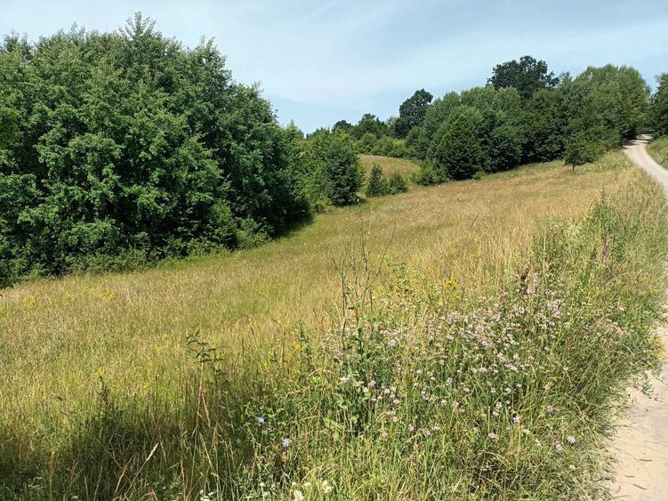 Teren in Capet, Sovata 2500mp - 1