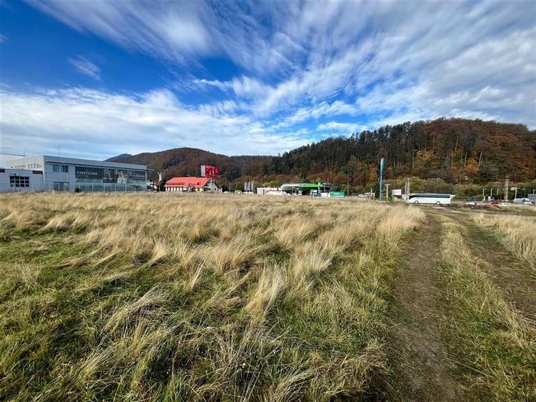 TEREN INTRAVILAN DEOSEBIT , BUNLOC, SACELE - 4