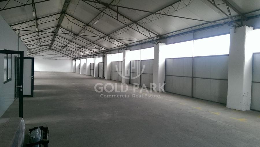 Depozit/Hala-In Park  Industrial- Zona Someseni-641 mp+43 mp Birouri - 1