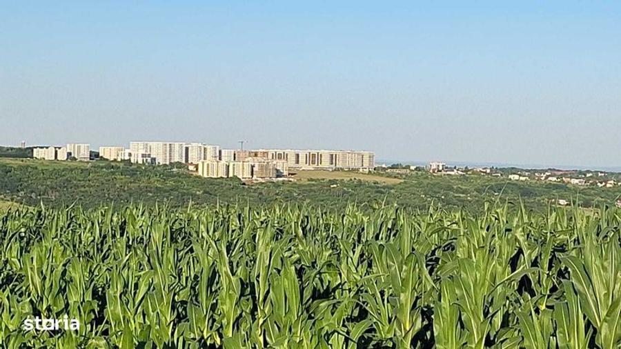 Terenuri de vanzare intravilan Rediu - 1511 mp - 5