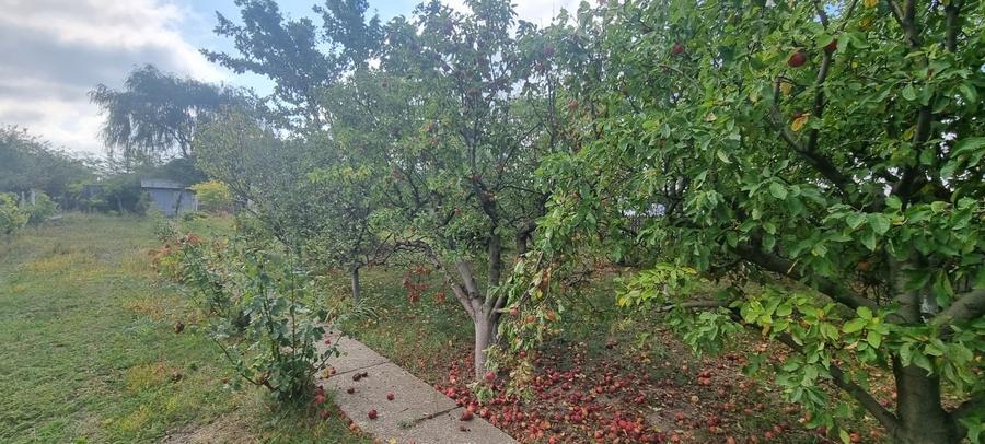 Teren la drumul European Botosani – Suceava - 2