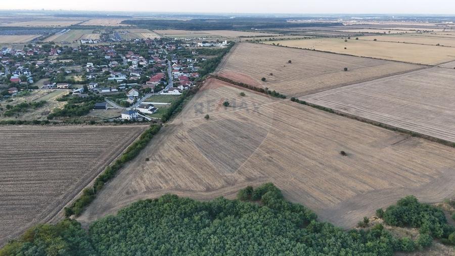 Teren investitie, intravilan Tamasi / Buftea - 2