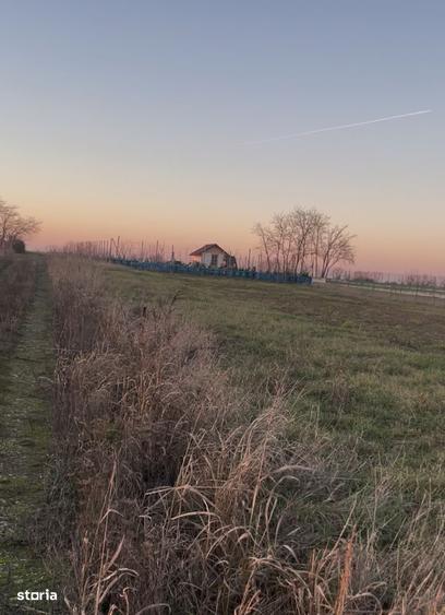 Teren intravilan 474 mp Sanpaul | Front stradal de 22 m | 16.000 E - 5