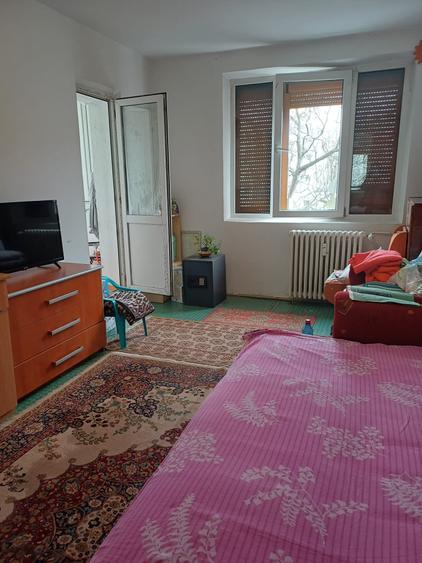 Crangasi Vintila Mihailescu! - 3