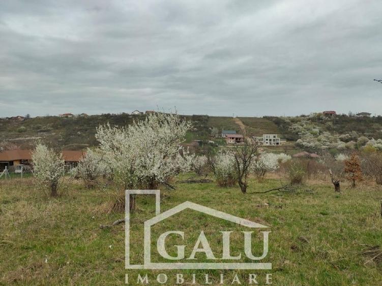 Teren intravilan 3245mp Livezilor, Dealuri Oradea - 1