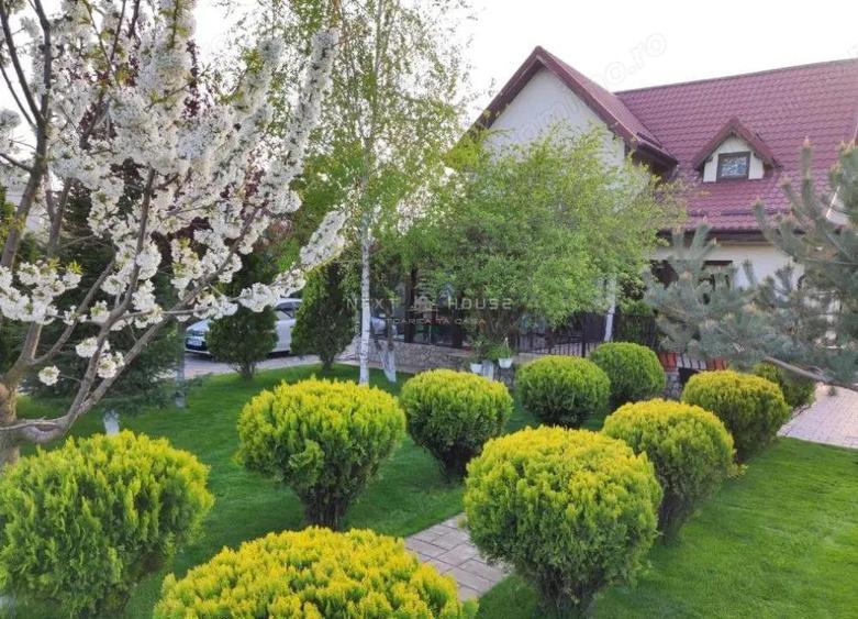 Casa 3 camere Domnesti - 6