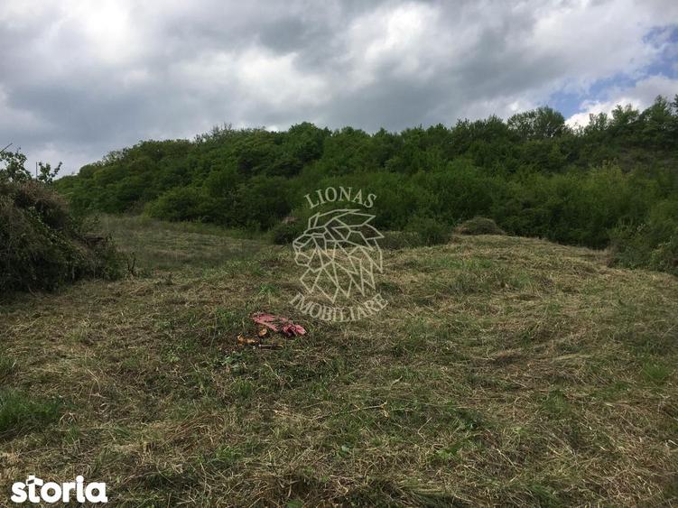 Teren intravilan 700 mp-ideal casa-Dealul Jelnei - 4