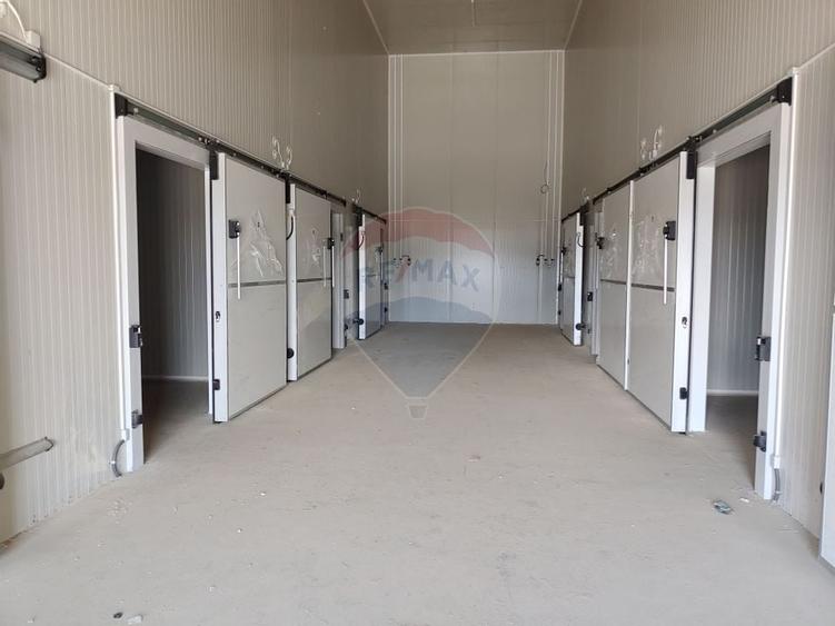 Depozit frigorific de 216 mp cu 4 celule, Șcheia, Suceava - 20