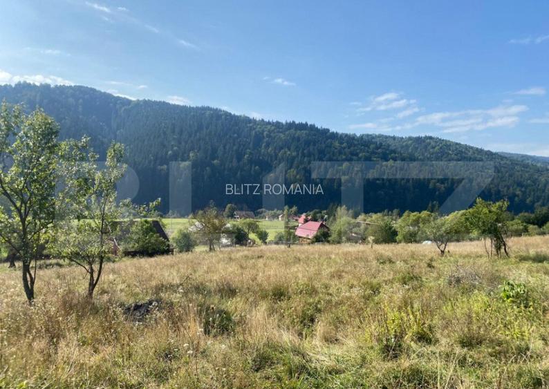 Teren de 1,4 h, zona Lunca Bradului Teren de 1,4 h, zona Lunca Bradului