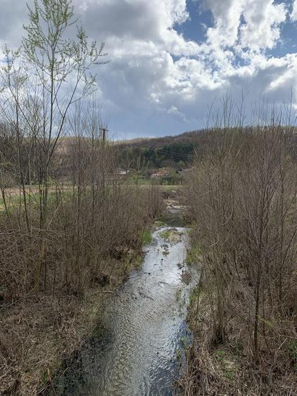 Vand teren retras, deosebit - 8