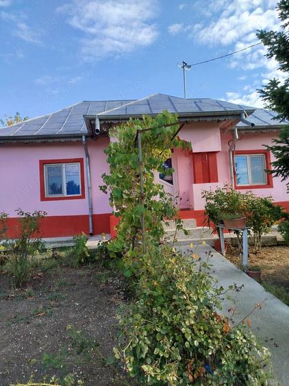 Proprietar vad casa Comuna Bucsani sat Obedeni,jud Giurgiu - 9