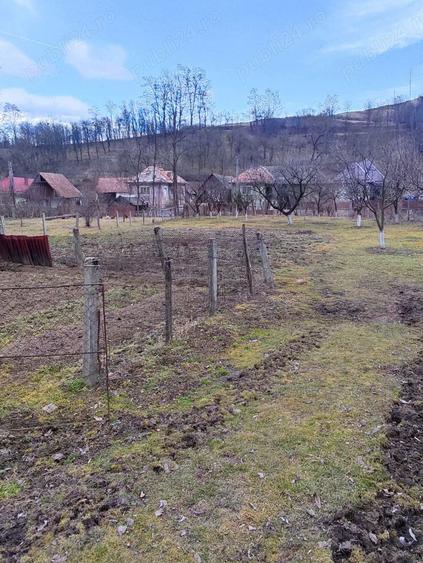 Vand casa cu gradina - 2