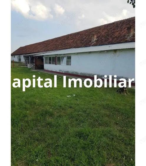 Ferma langa Oravita 5600 mp construiti si teren 24281 intravilan - 5